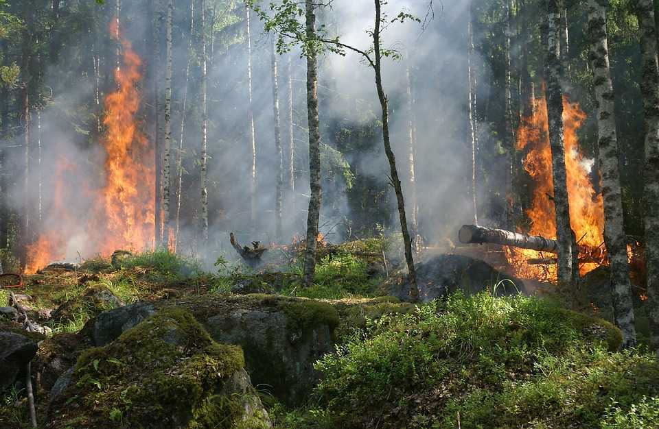 Grecia alocă 500 de milioane de euro pentru a ajuta victimele incendiilor forestiere