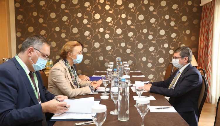 Igor Grosu s-a întâlnit cu Secretarul general al CoE, Marija Pejčinović Burić