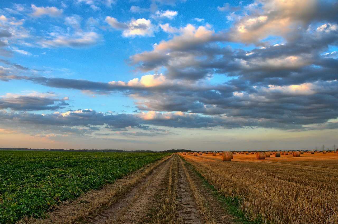 Raportul de activitate al Ministerului Agriculturii și Industriei Alimentare pentru 100 de zile