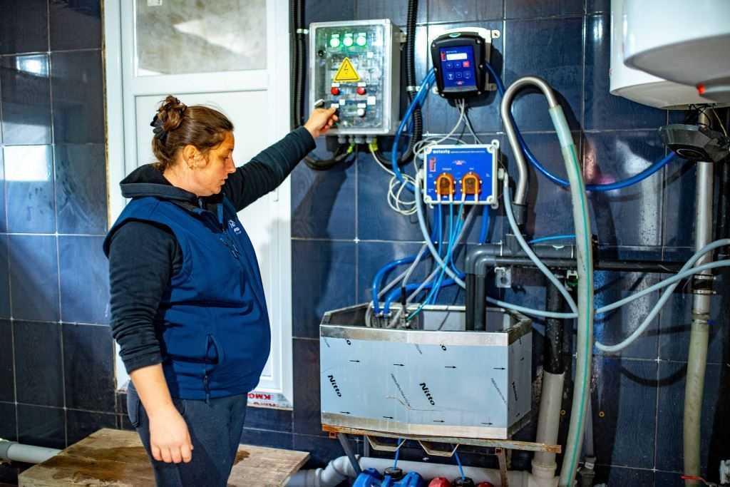 La Borogani, oieritul se modernizează și devine tot mai rentabil