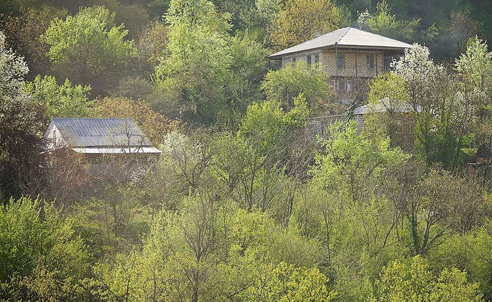 OFICIAL: Proprietarii de terenuri lăsate în paragină vor fi amendați