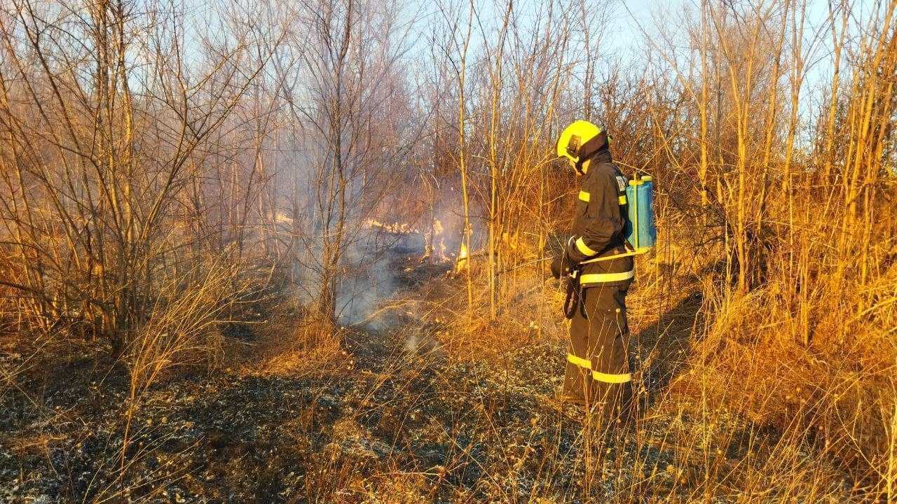 Pompierii au intervenit pentru a lichida incendii vegetale pe arii extinse / VIDEO