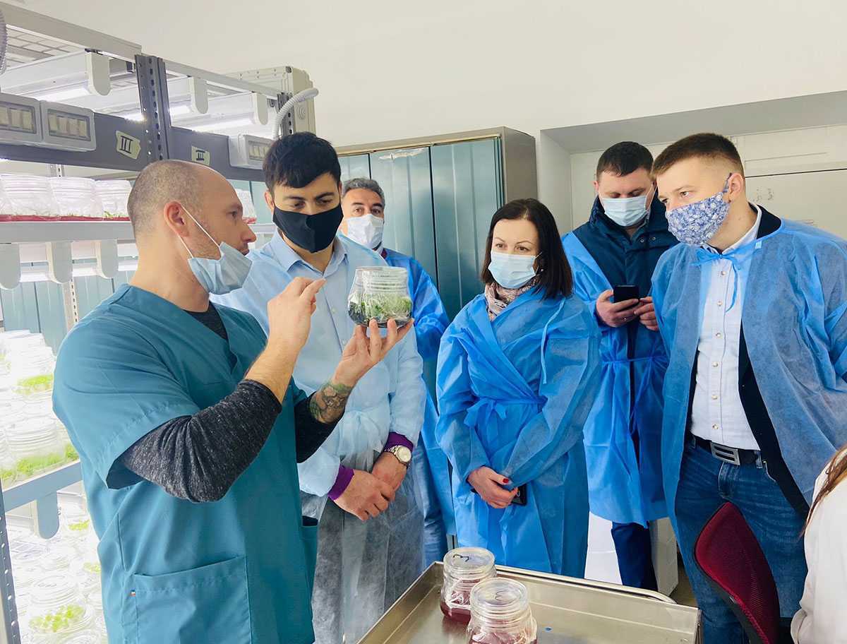 În țara noastră activează un nou laborator de producere a materialului săditor de calitate superioară
