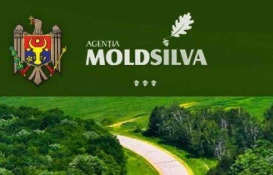 Parlamentul verifică activitatea întreprinderii ”Moldsilva”