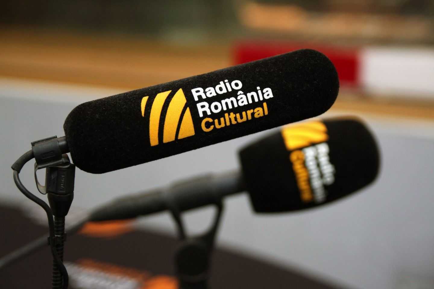 Teatrele şi alte instituţii de cultură din R.Moldova se alătură campaniei 