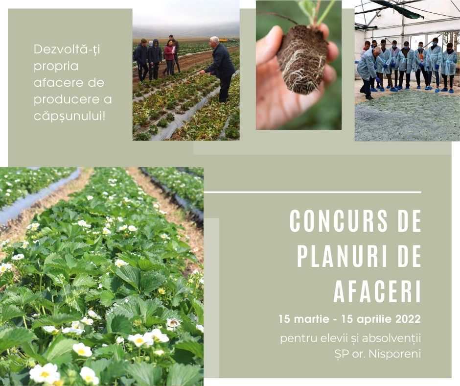 Elevii și absolvenții a două școli profesionale invitați să participe la un concurs de planuri de afaceri