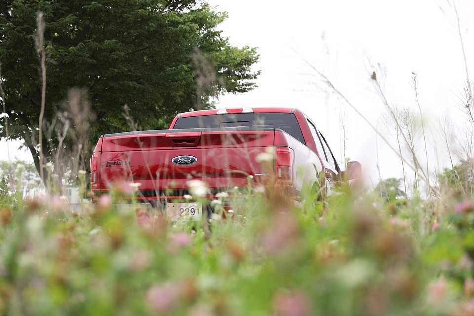 Ford va lansa 7 noi modele electrice în Europa