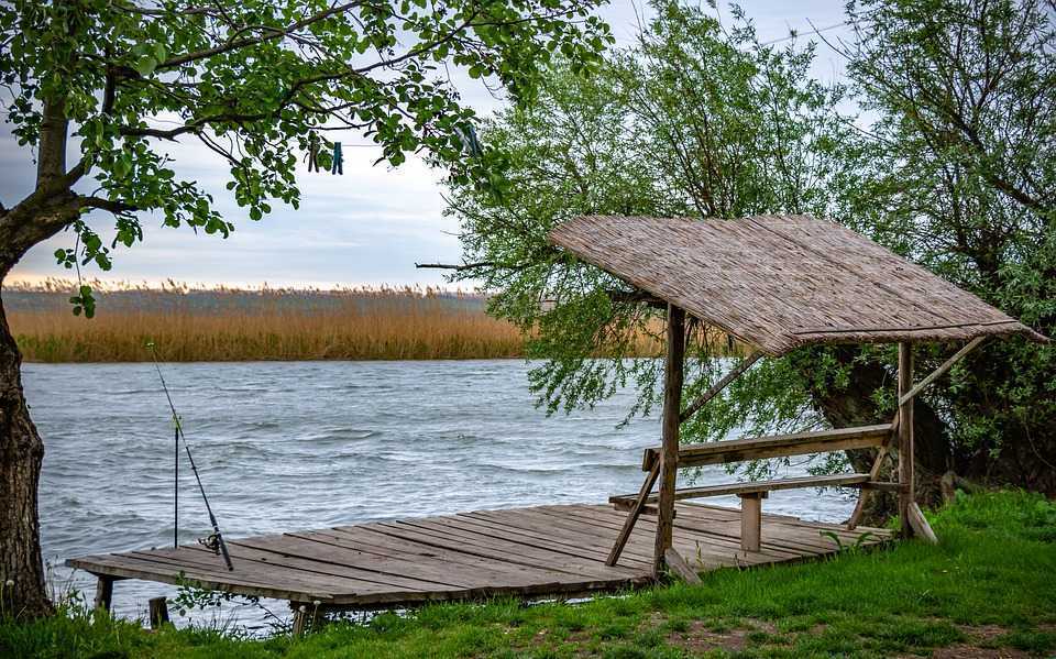 Proiectul de creare a Parcului Național ”Nistrul de Jos” este examinat în Parlament