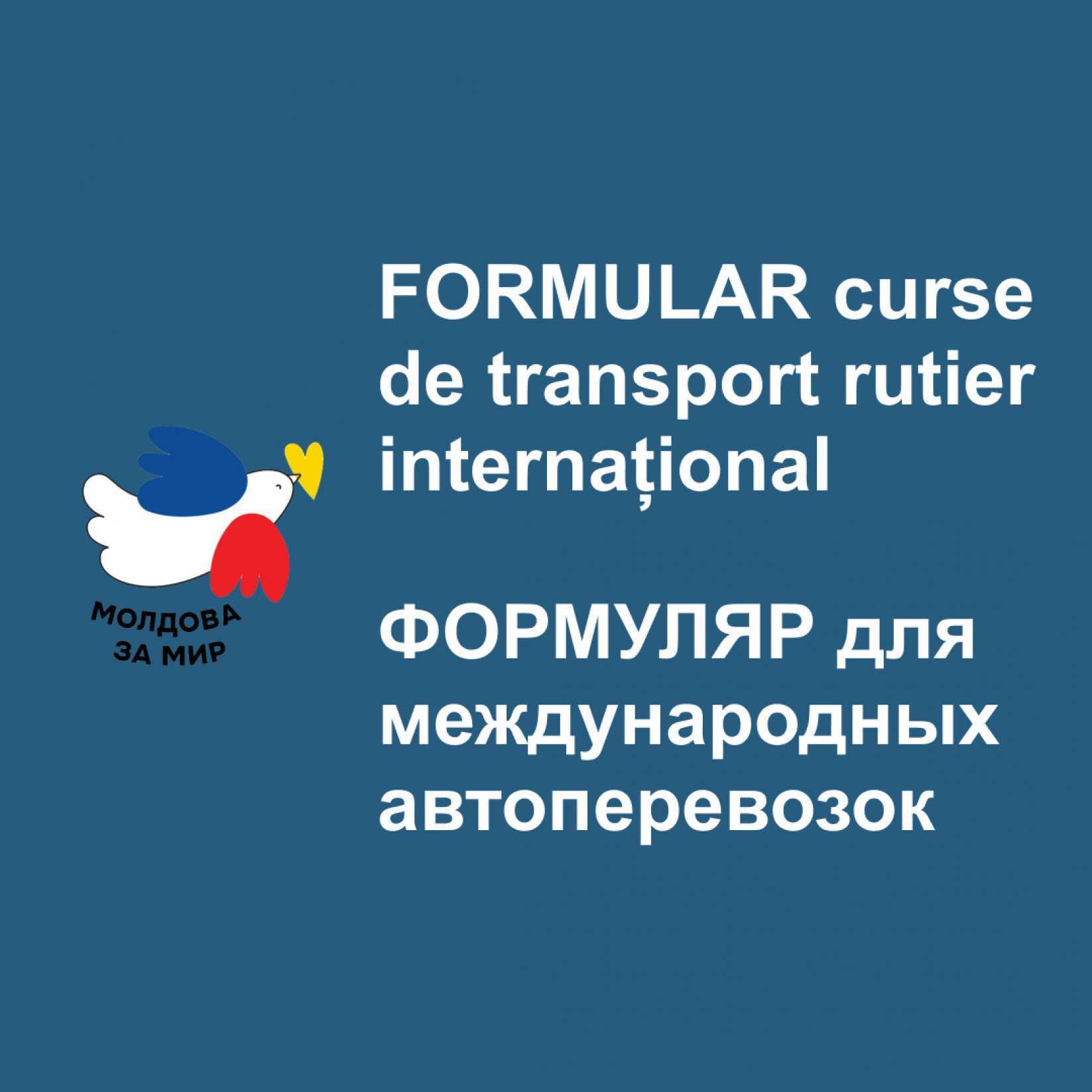 Curse internaționale speciale pentru refugiații din Ucraina