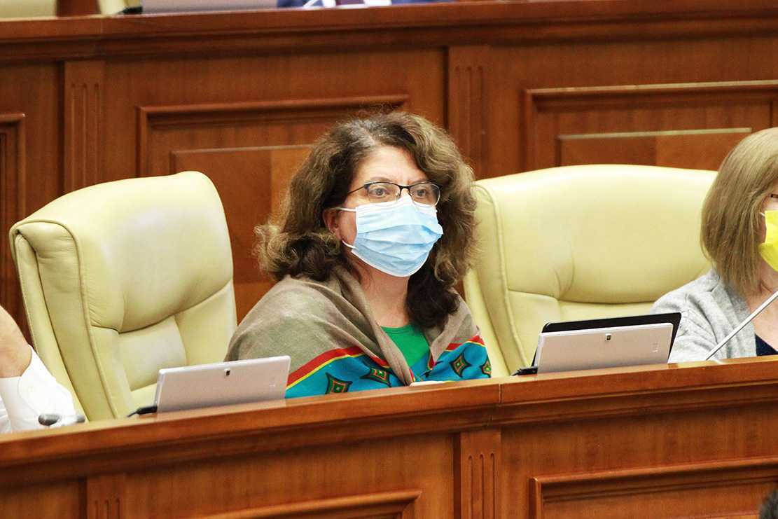 Deputații au examinat combaterea fenomenului de răspândire a dezinformării
