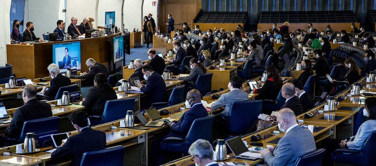Republica Moldova a participat la cea de-a 169-a sesiune a Consiliului FAO