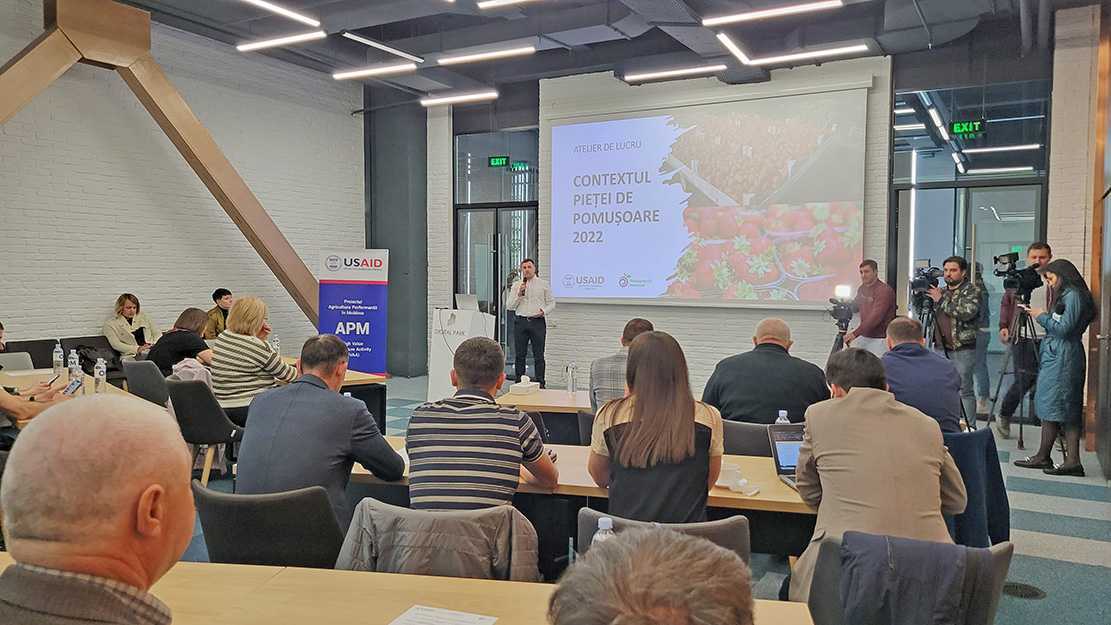 Producătorii de pomușoare caută noi piețe de desfacere pentru bacifere