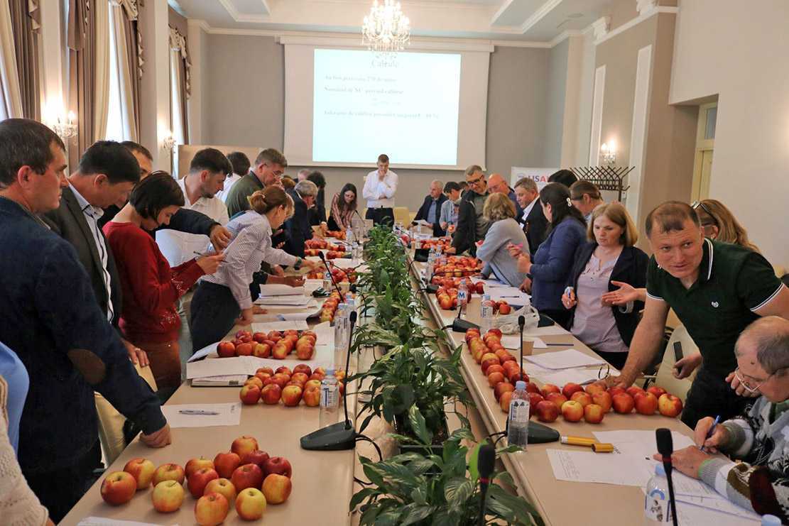 Inspectorii ANSA au fost instruiți în evaluarea conformității fructelor și legumelor proaspete
