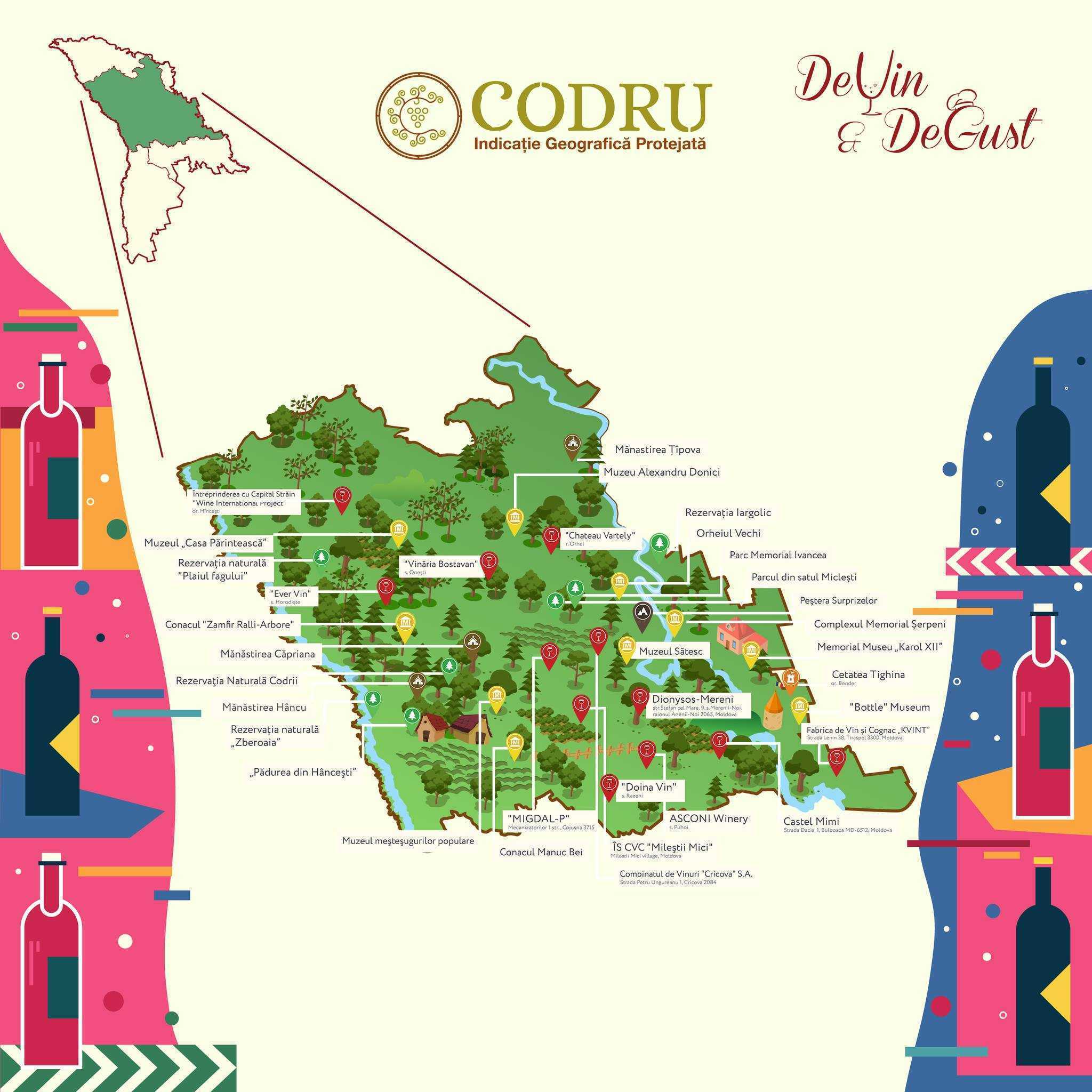 Cunoaște specificul vinurilor din regiunea cu Indicație Geografică Protejată „Codru”