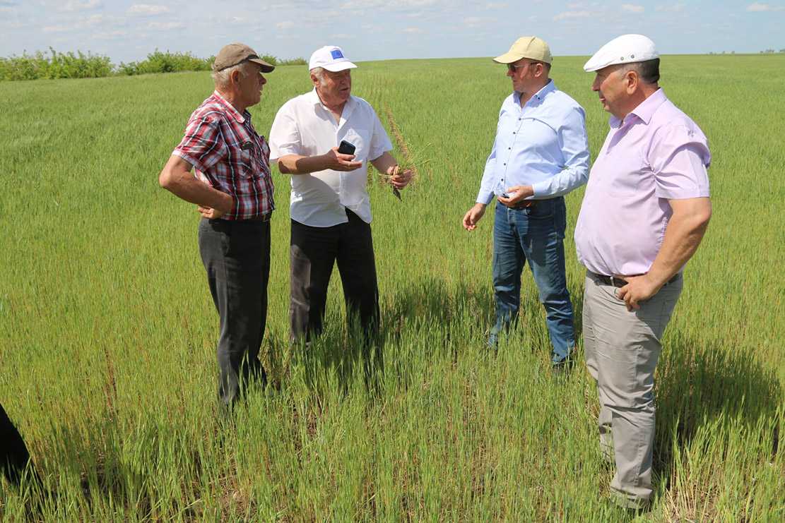 Viorel GHERCIU a întreprins o vizită de lucru pe câmpurile agricole din raionul Ștefan-Vodă