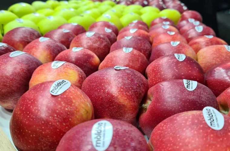 Consiliul European a majorat cotele la export pentru unele produse agricole moldovenești