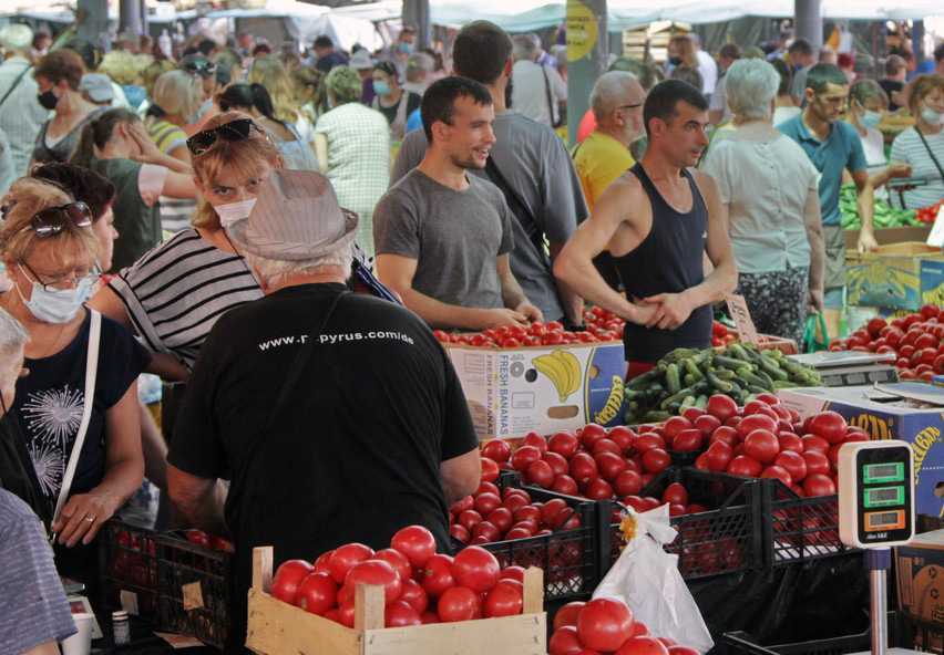 Producătorii agricoli pot vinde la Moldexpo S.A. direct din microbuz