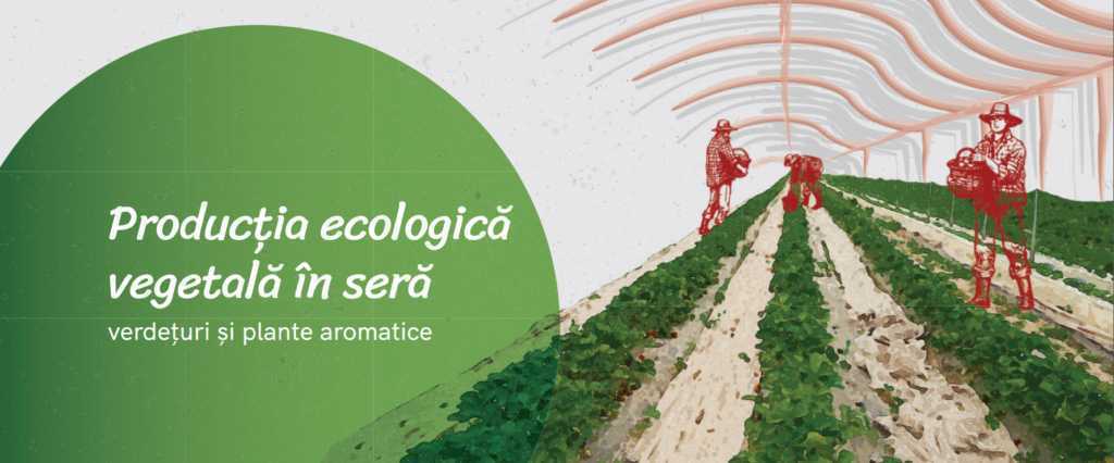Ghid privind producerea ecologică în seră a verdețurilor și a plantelor aromatice