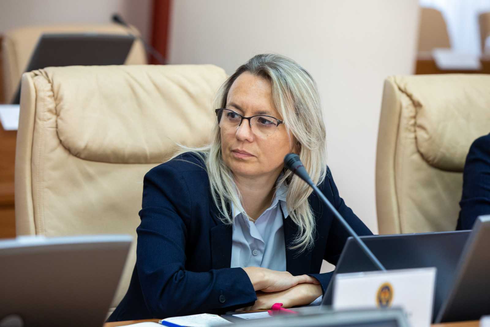 Guvernul a aprobat un nou mecanism de autorizare a lucrărilor silvotehnice