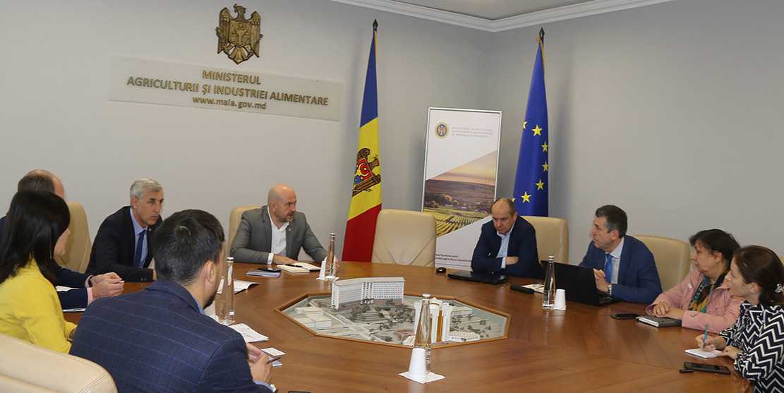 Ședință de lucru cu Biroul Național de Statistică