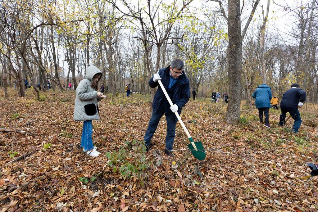 Parlamentul s-a alăturat Campaniei naționale de înverzire a plaiului „Plantează-ți viitorul”