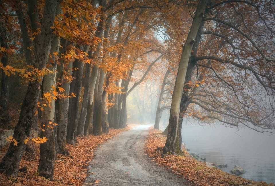 Vinul se așază-n poloboace, Anul Nou tot mai încoace