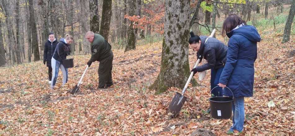 Plantări pe 225,6 ha în Ziua Naţională de Înverzire a Plaiului