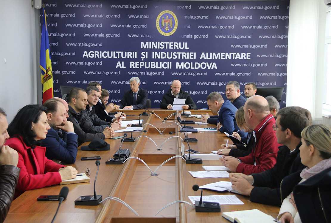 Ședința Consiliului consultativ pe filiera acvaculturii