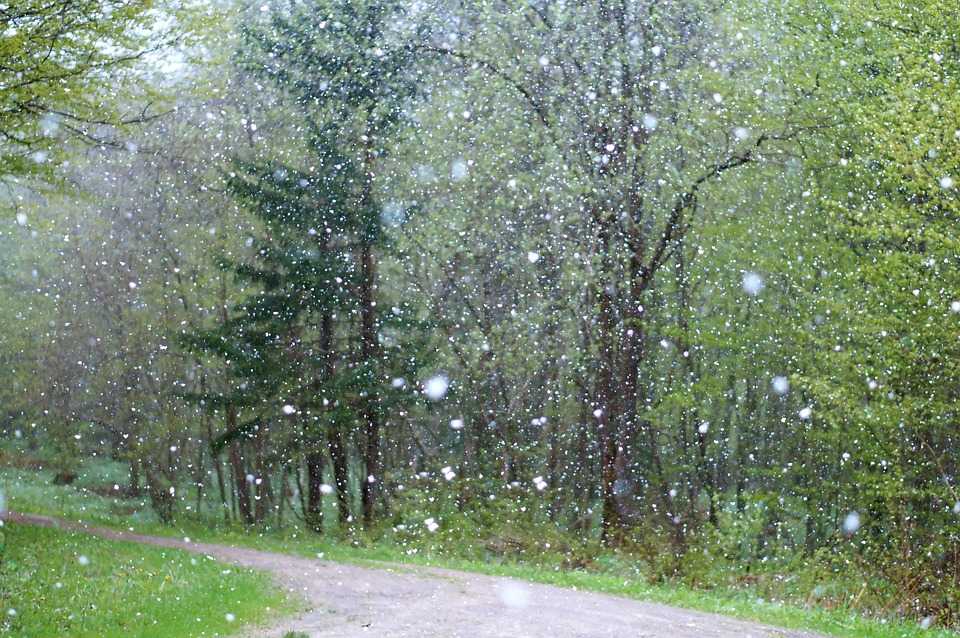 Vânt și lapoviță, o săptămână frumoasă tuturor. Urări și prognoză meteo