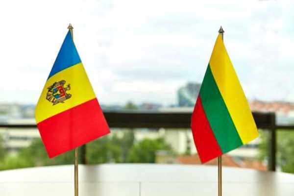 Ministrul Apărării, în vizită oficială în Lituania