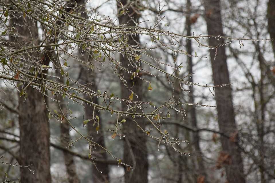 Ploi și ninsoare, limbajul în care vorbesc Cerul și Pământul. Prognoza meteo