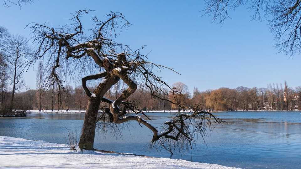 Chișinău: Un băiat de 12 ani a fost salvat de la înec de salvamarii din parcul Valea Morilor