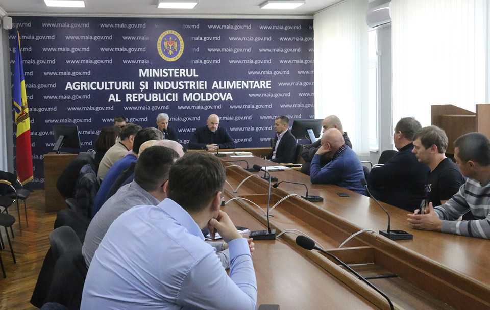 MAIA și ANSA, despre necesitatea consolidării măsurilor de biosecuritate în exploatațiile avicole