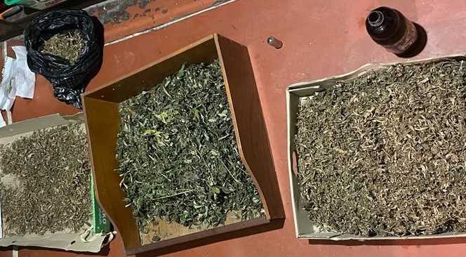 Trei reținuți, după ce a fost ridicată marijuană în sumă de circa 400.000 lei / VIDEO