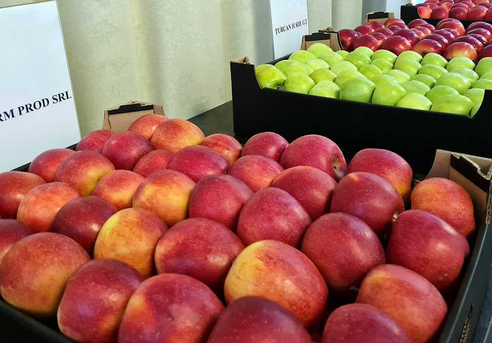 Agricultorii moldoveni în premieră se aliniază standardelor internaționale SMETA