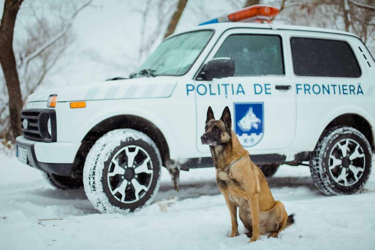 La această oră, toate punctele de trecere a frontierei activează în regim normal
