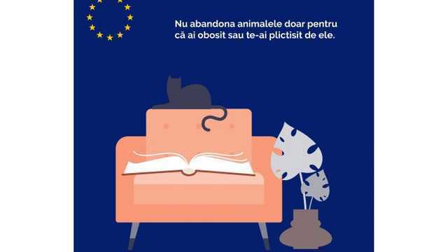 UE va sprijini eforturile în domeniul protecției animalelor fără adăpost din R.Moldova
