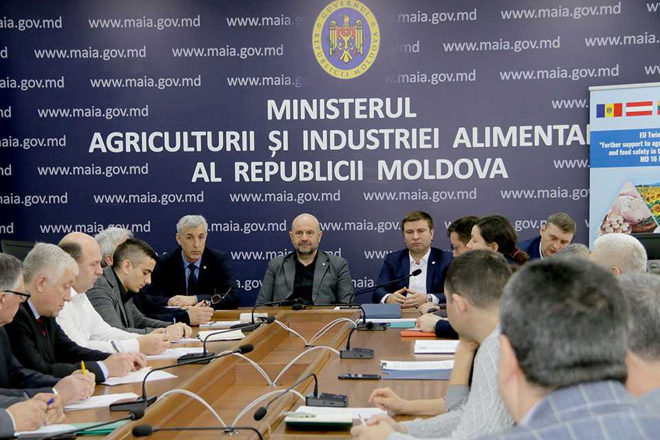 Medicii veterinari sunt esențiali pentru dezvoltarea efectivelor de animale din ferme