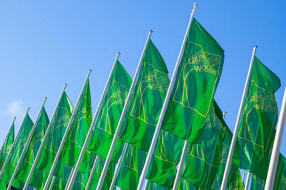 Ministrul Vladimir BOLEA va participa la Expoziția „Săptămâna Verde” de la Berlin