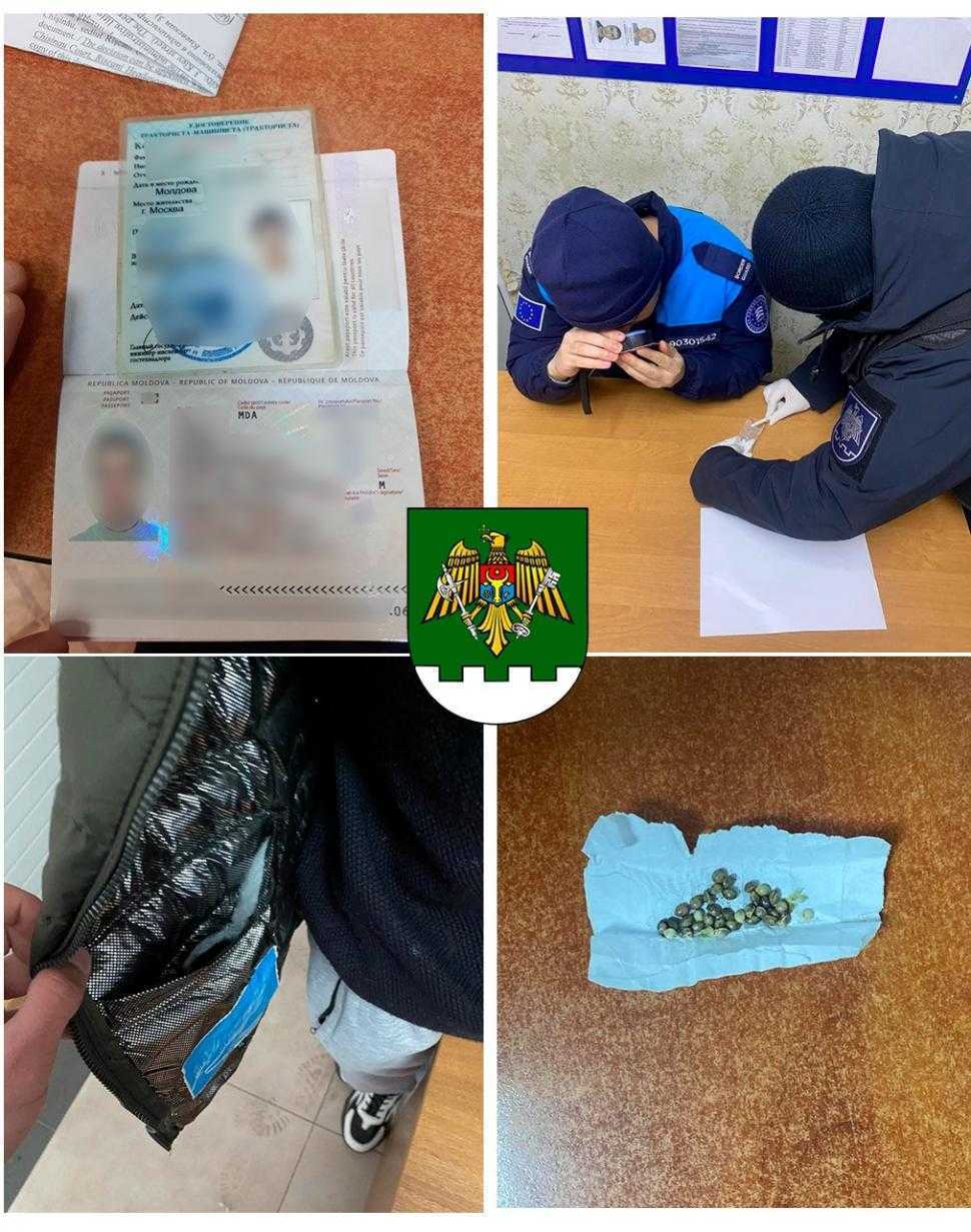 PTF Leușeni: Acte falsificate și substanțe suspecte, ridicate de la patru conaționali