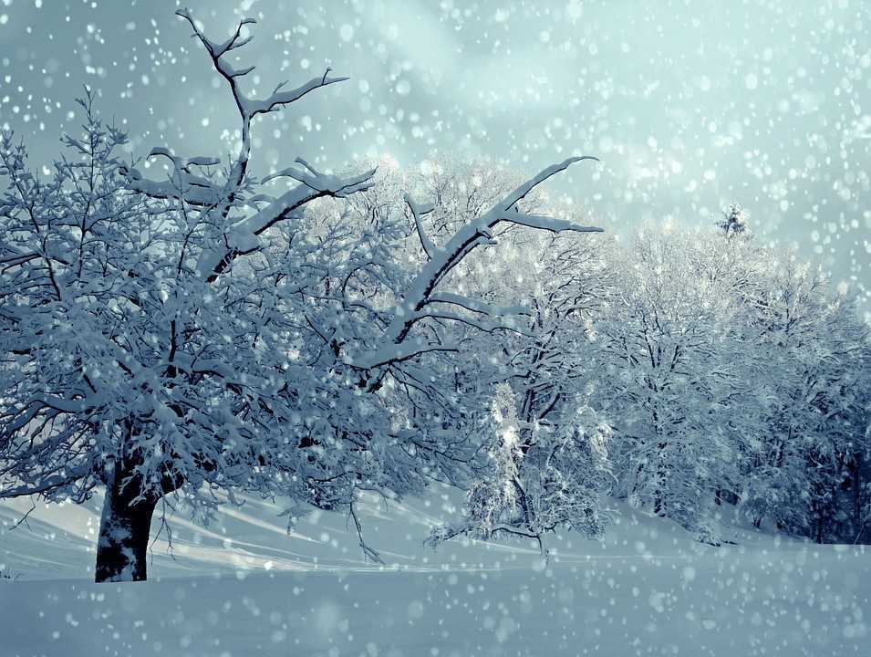 Frig, ninsoare și temperaturi de până la -9 grade