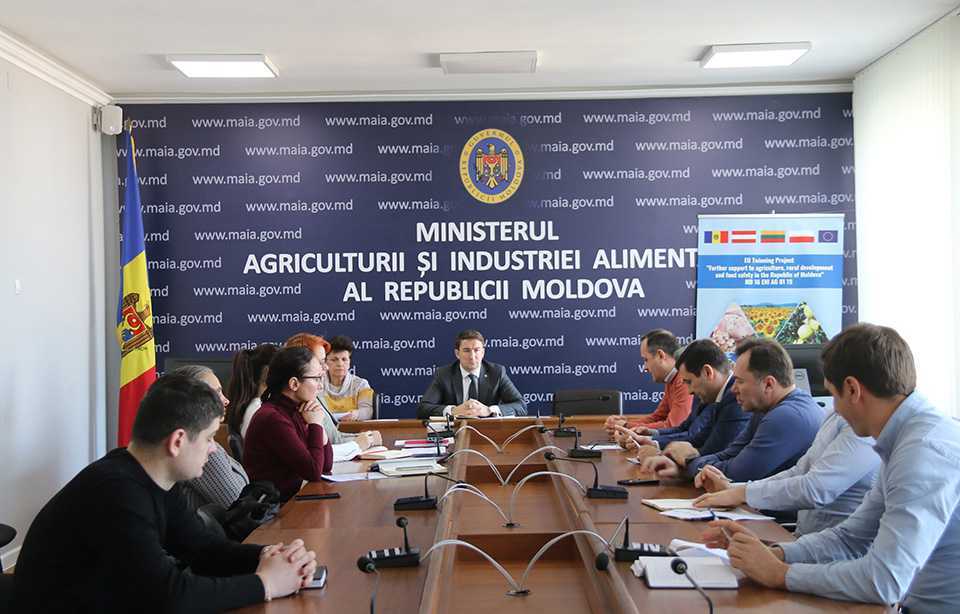 La MAIA a fost discutată problema majorării prețurilor la ambalajele din sticlă pentru sectorul vitivinicol
