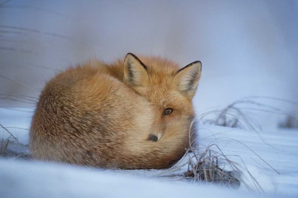 Sfârșit de săptămână cu cer variabil și temperaturi de până la 2 grade Celsius