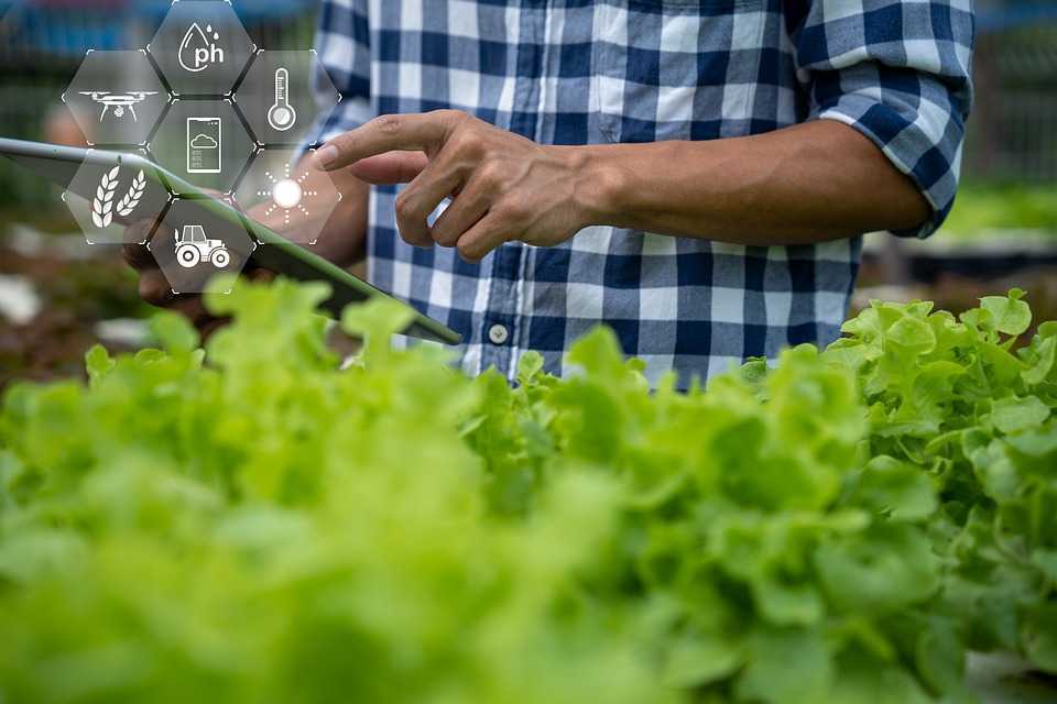 UE oferă R.Moldova un milion de euro pentru dezvoltarea afacerilor ecologice