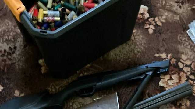 Arme de vânătoare și muniții, depistate la domiciliul unui bărbat din Nisporeni