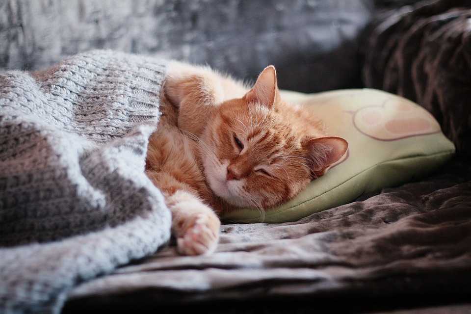 Afară se încălzește, e mai cald și în suflet. Prognoza meteo