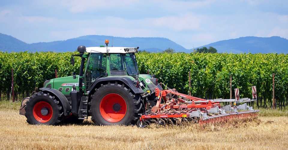 Ministerul Agriculturii și Industriei Alimentare va avea o nouă structură organizatorică