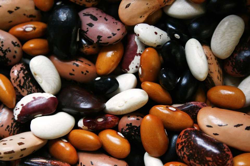 Cele mai bune alimente care pot înlocui carnea în perioada postului