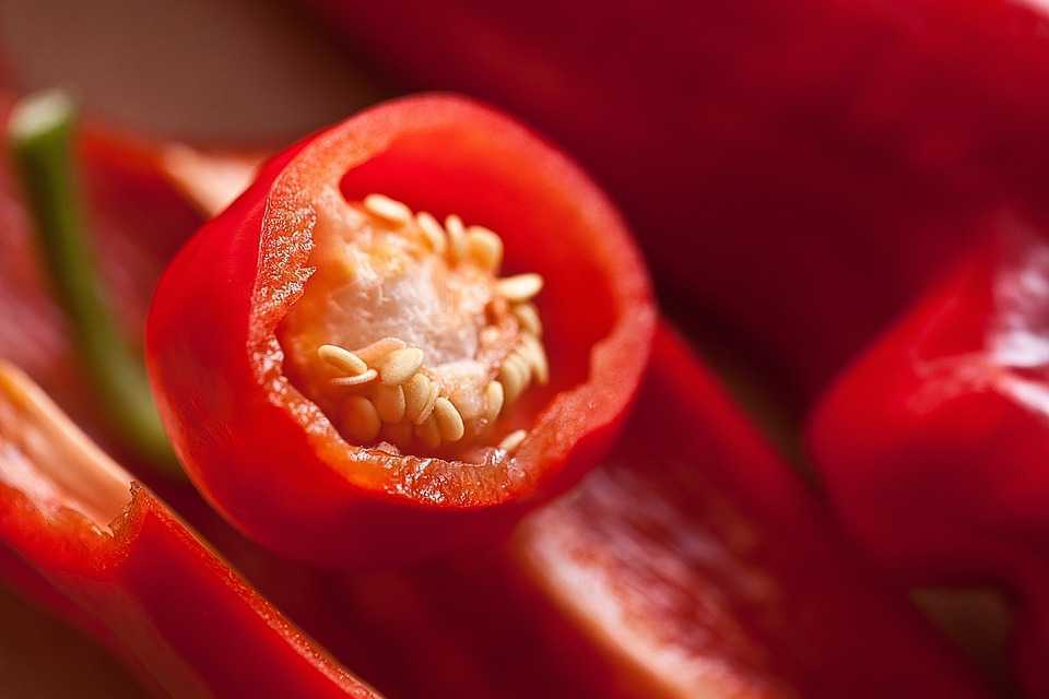 Vor fi acordate subvenții pentru stimularea promovării și dezvoltării agriculturii ecologice