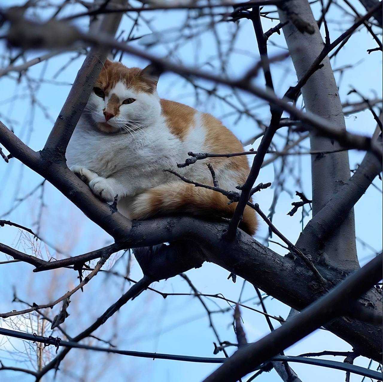 Vreme frumoasă şi soare din plin. Prognoza meteo